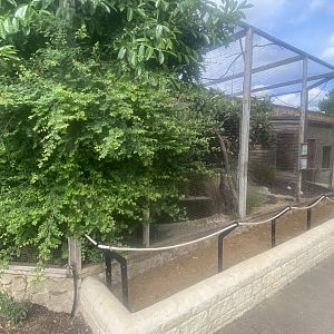 Pied avocet and Red-billed blue magpie aviary 310525