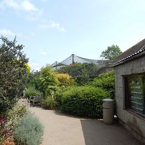 Walled Garden - Large mixed aviary 310525