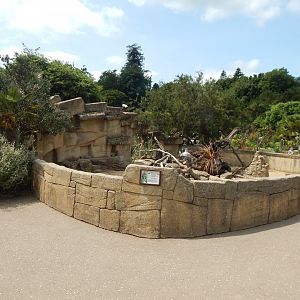 Walled Garden - Meerkat enclosure 310525