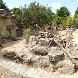 Walled Garden - Meerkat enclosure 310525