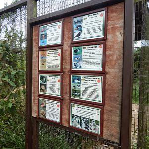 Walled Garden - Signage for large mixed aviary 310525
