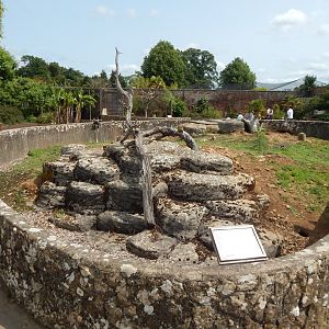 Walled Garden - Black-tailed prairie dog enclosure 310525