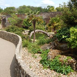 Walled Garden - Asian small-clawed otter enclosure 310525
