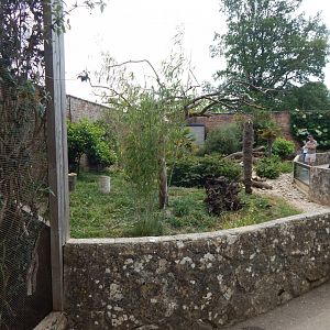 Walled Garden - Asian small-clawed otter enclosure 310525