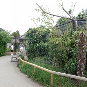 Walled Garden - Crowned sifaka enclosure 310525