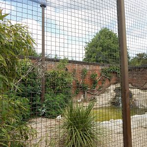 Walled Garden - Large wading bird aviary 310525