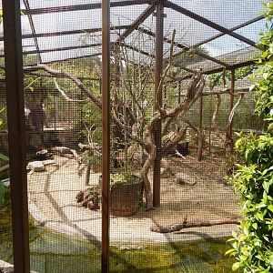 Walled Garden - Mixed aviary 310525