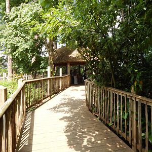 Walkway towards European wolverine enclosure 310525