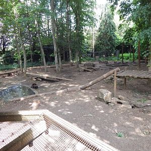 European wolverine enclosure 310525