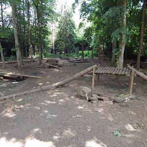 European wolverine enclosure 310525