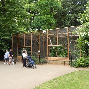 Siberian pallas' cat enclosure 310525