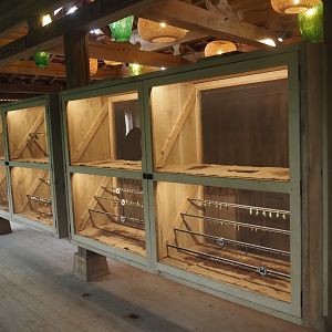 Chrysalis hatching cases in the Asian greenhouse, 2025-06-03