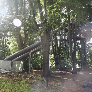 New big slide between the tree-top walk and the new playground, 2025-06-03