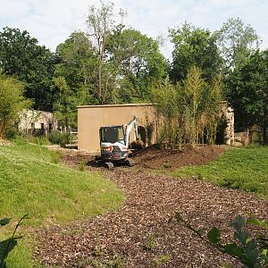 Construction of new house for red river hogs and perhaps other African ungulates between bongo and wild donkey paddocks, 2025-06-03