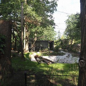 Renovation of one of the Asian aviaries near the Asiatic lion exhibit, 2025-06-03