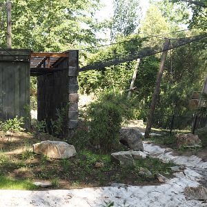 Renovation of one of the Asian aviaries near the Asiatic lion exhibit, 2025-06-03
