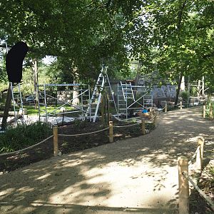 Renovation of one of the Asian aviaries near the Asiatic lion exhibit, 2025-06-03