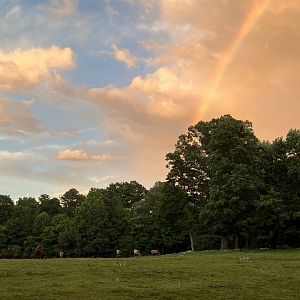 Rainbow over Prairie