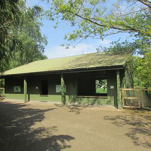 Dublin Zoo - Sulawesi crested macaque indoor quarters
