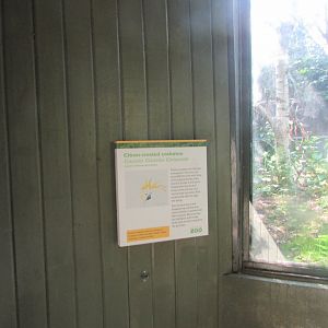 Dublin Zoo - Informative sign