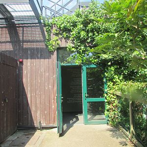 Dublin zoo - Orangutan forest: entrance to the indoor quarters