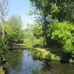 Dublin Zoo - Red-ruffed lemur exhibit