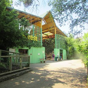 Dublin Zoo - Play Forest