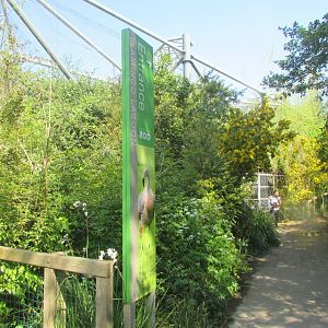 Dublin Zoo - Flamingo aviary entrance