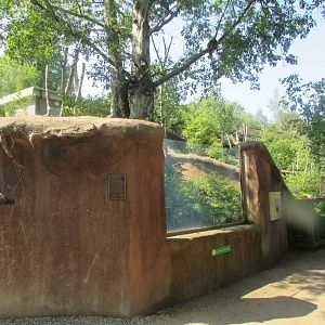 Dublin Zoo - Red panda exhibit