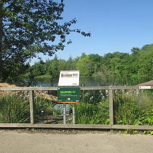 Dublin Zoo - Informative sign