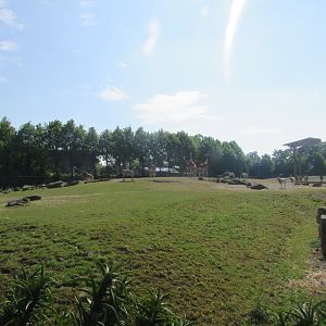 Dublin Zoo - African savanna