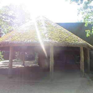Dublin Zoo - Shelter for medium-sized ungulates