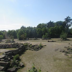 Dublin Zoo - Southern white rhino exhibit