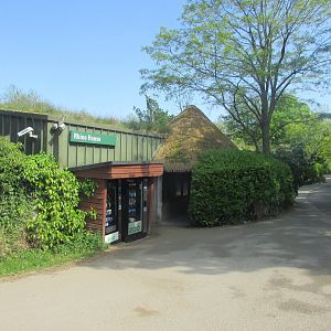 Dublin Zoo - Rhino house