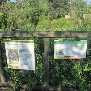 Dublin Zoo - Informative signs