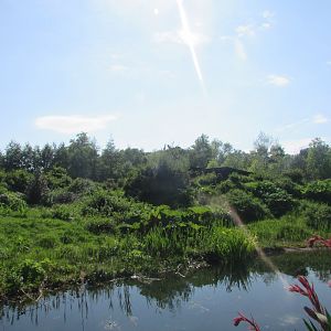 Dublin Zoo - Panoramic view of gorilla exhibit