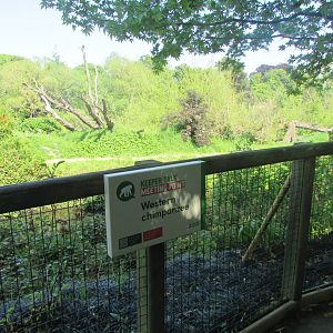 Dublin Zoo - Informative sign and chimpanzee enclosure