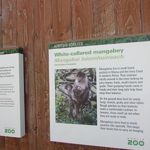 Dublin Zoo - Informative sign
