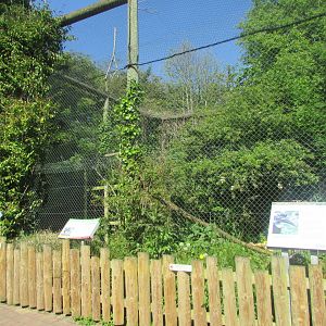 Dublin Zoo - Abyssinian ground hornbill exhibit