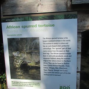 Dublin Zoo - Informative sign