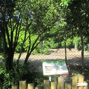 Dublin Zoo - Informative signage and red river hog exhibit