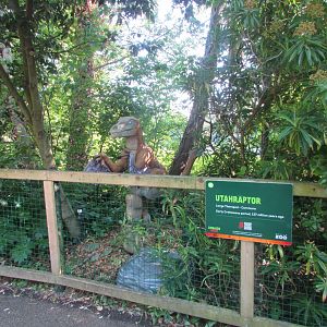 Dublin Zoo - Utahraptor