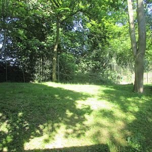 Dublin Zoo - First side of second okapi exhibit