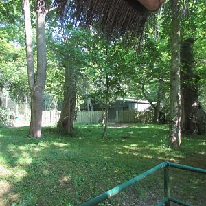Dublin Zoo - Other side of second okapi exhibit