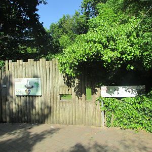 Dublin Zoo - Bongo exhibit wall