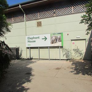 Dublin Zoo - Asian elephant barn