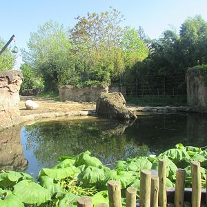 Dublin Zoo - Elephant pool n. 2