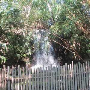 Dublin Zoo - Kaziranga Forest Trail waterfall
