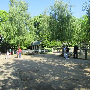 Dublin Zoo - Family Farm