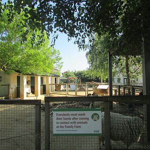 Dublin Zoo - Sheep and goat pens